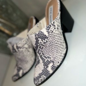 Steve Madden Snake print Mules.